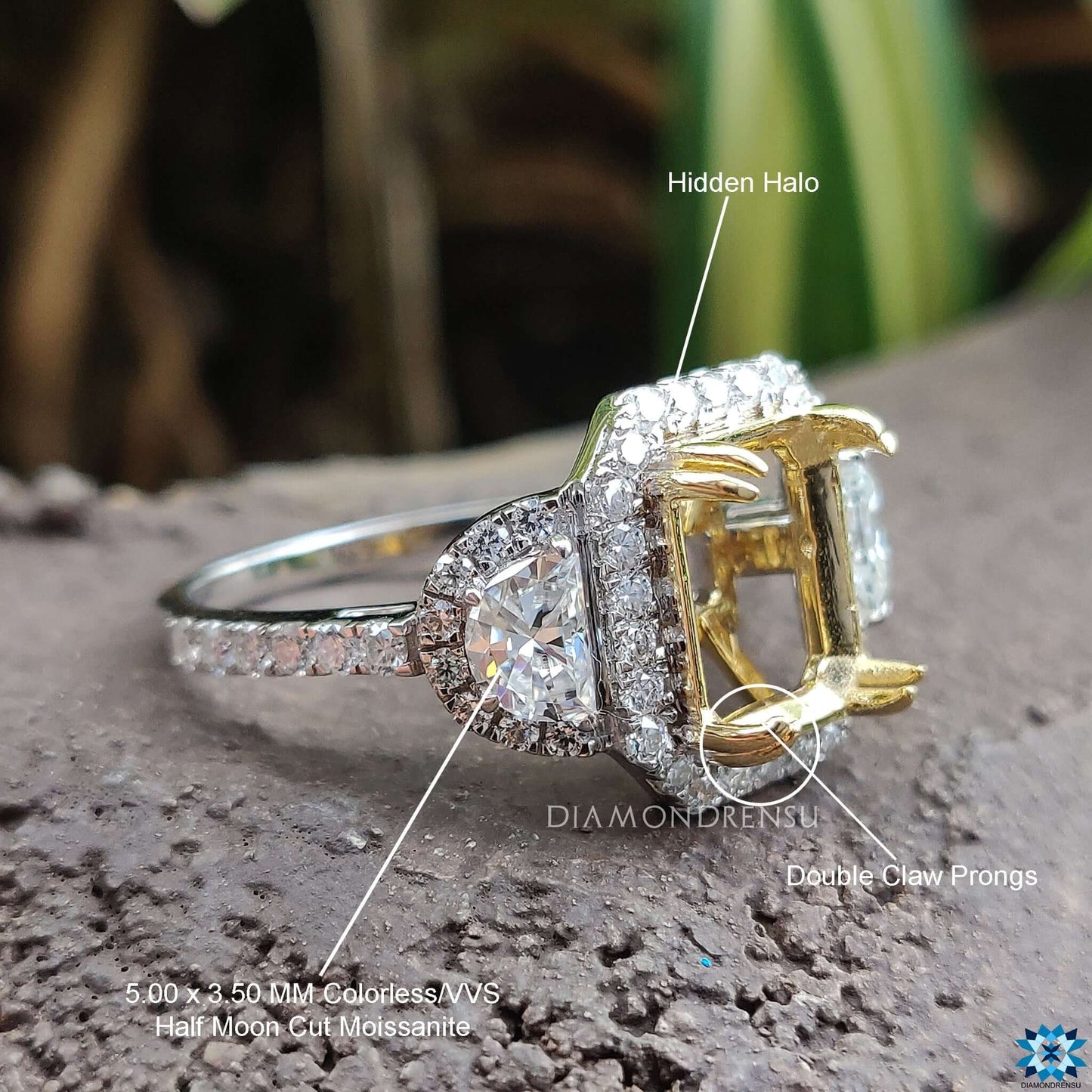 moissanite engagement rings - diamondrensu